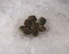 Load image into Gallery viewer, Fresh Hardshell Clams