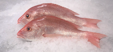 Load image into Gallery viewer, Fresh Red American Snapper
