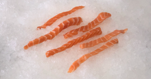 Load image into Gallery viewer, Fresh Salmon Sushi Cut