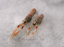 Load image into Gallery viewer, Frozen New Zealand Scampi 4.4 lb Pack
