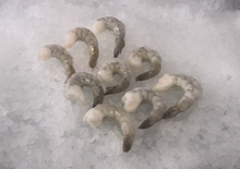 Load image into Gallery viewer, Frozen Shrimp -Tail on 2 lbs Pack