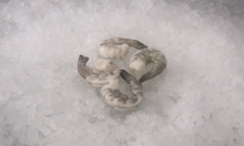 Load image into Gallery viewer, Frozen Shrimp -Tail on 2 lbs Pack