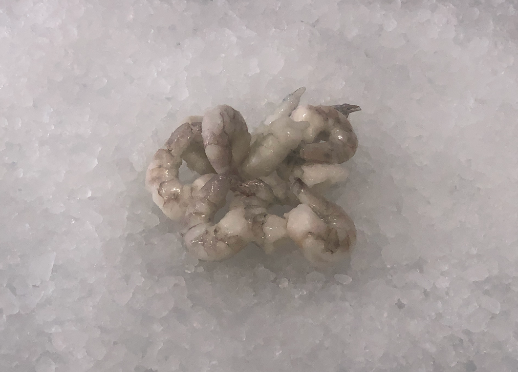 Frozen Shrimp -Tail off 2 lbs Pack