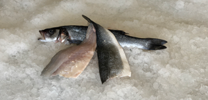 Fresh Branzino
