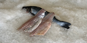 Fresh Branzino