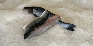 Fresh Branzino