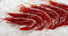 Load image into Gallery viewer, Frozen Carabinero Shrimp 2.77 lbs Pack
