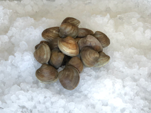 Load image into Gallery viewer, Fresh Hardshell Clams

