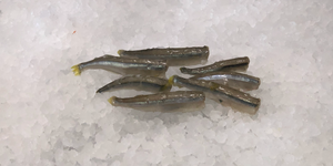 Frozen Baby Smelt 5lb.