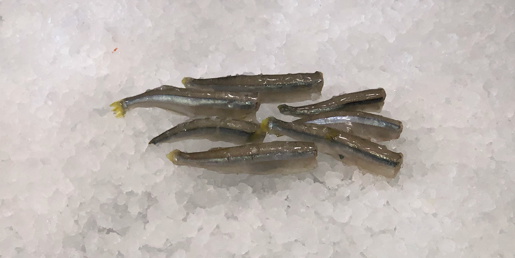 Frozen Baby Smelt 5lb.