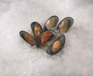 Frozen New Zealand Half Shell Mussels 2 lb Pack