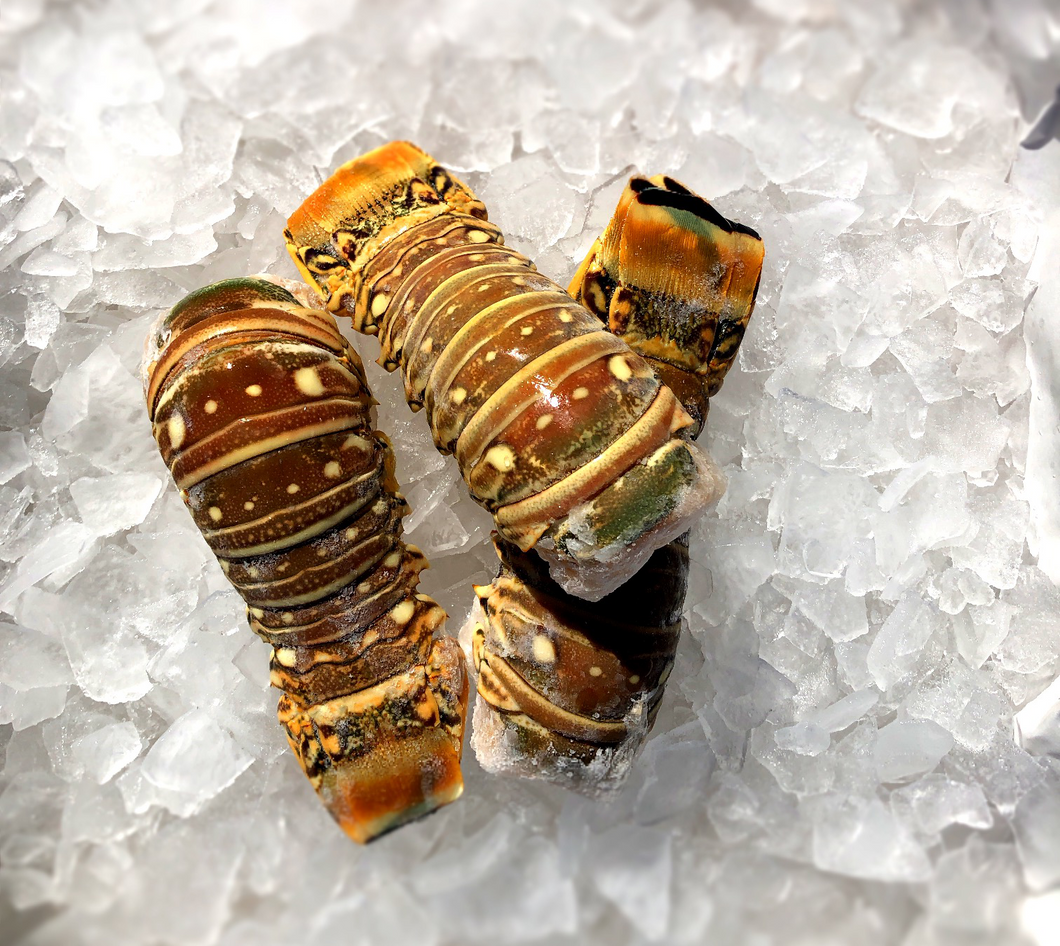 Frozen Lobster Tail Warm Water