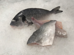 Fresh Mediterranean Sea Bream