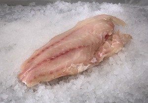 Fresh Red Grouper