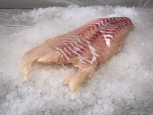 Load image into Gallery viewer, Fresh Red Grouper
