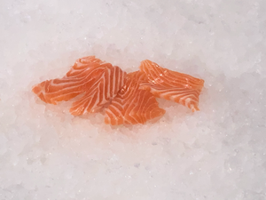 Fresh Salmon Sushi Cut