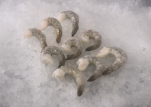 Load image into Gallery viewer, Frozen Shrimp -Tail on 2 lbs Pack
