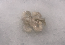 Load image into Gallery viewer, Frozen Shrimp -Tail off 2 lbs Pack

