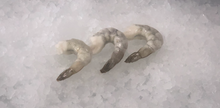 Load image into Gallery viewer, Frozen Shrimp -Tail on 2 lbs Pack
