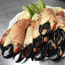 Load image into Gallery viewer, Fresh Stone Crab Claws
