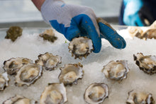 Load image into Gallery viewer, Fresh Kusshi Oysters
