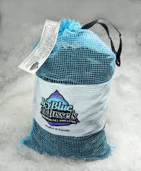 Fresh Icy Blue Mussels