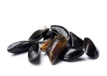 Load image into Gallery viewer, Fresh Icy Blue Mussels
