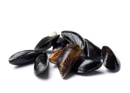 Fresh Icy Blue Mussels