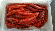 Load image into Gallery viewer, CARABINERO SHRIMPS 2.77 LB
